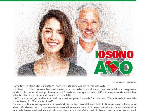 Nuovo NOI Insieme n. 2/2017