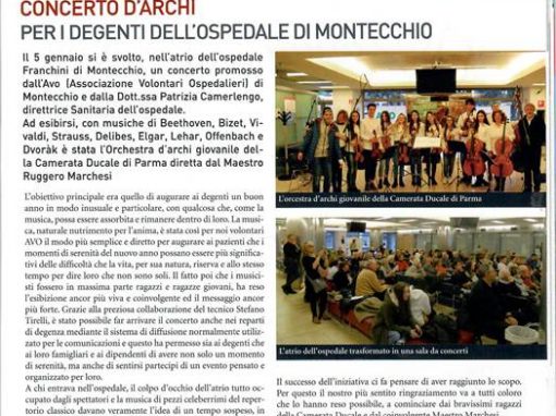 Rassegna Stampa: AVO Montecchio Emilia