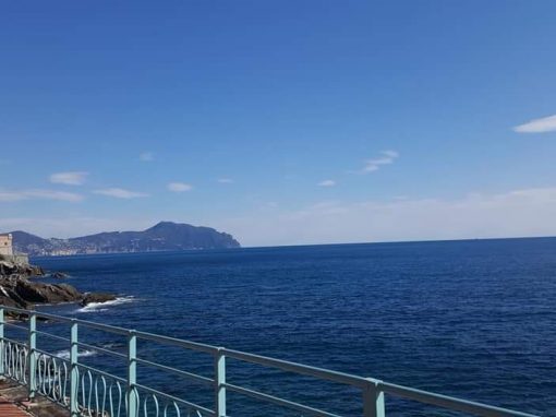 Lettera dai volontari AVO di La Spezia